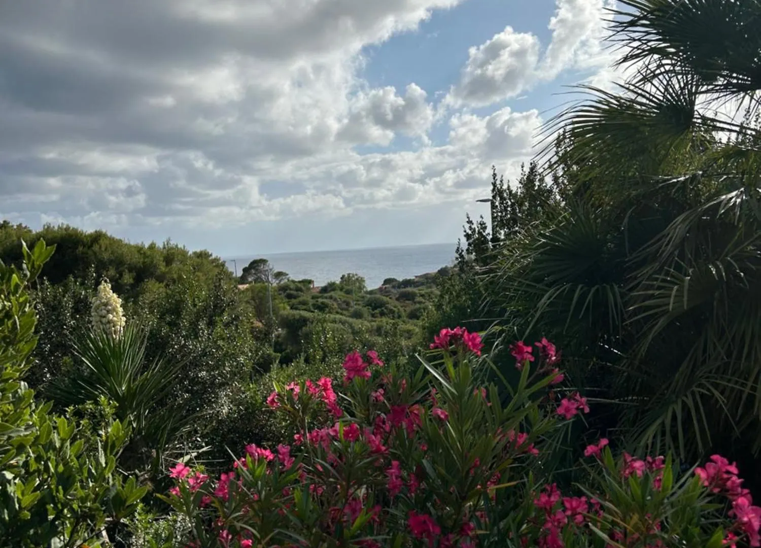 Baia Del Corsaro - New Sea Panoramic Villa In Sardinia, Italy - 250 Mt Beach&Sea Full Comfort-Wifi-Parking-Privacy Torre dei Corsari 0*,